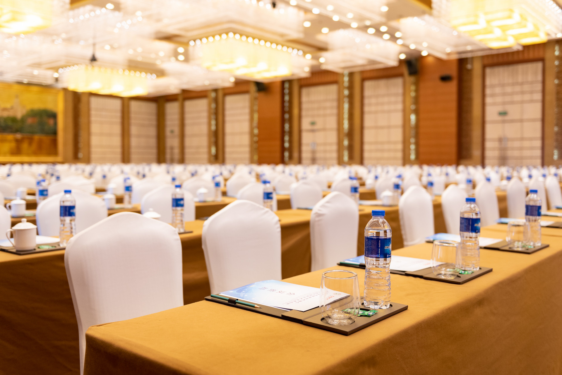 Conference Support Services